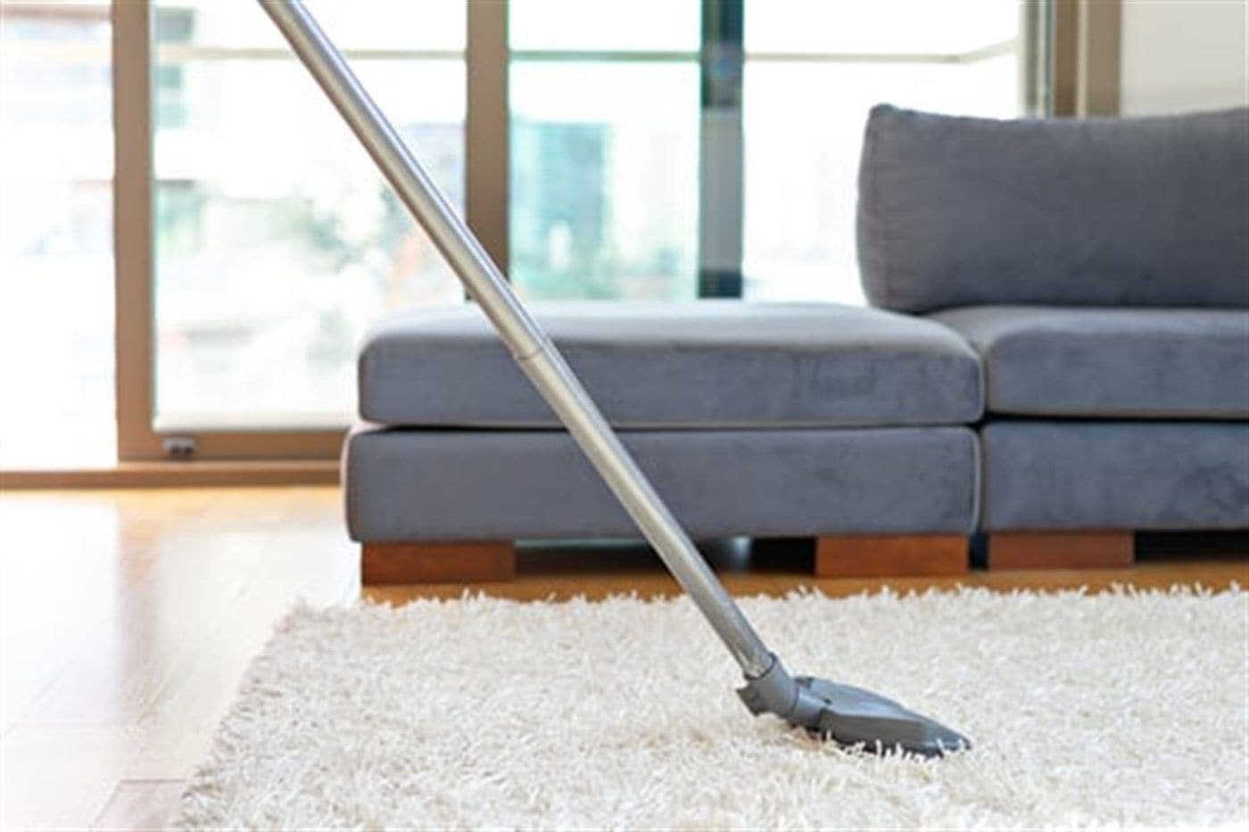 Professional carpet cleaning in progress in a bright Long Island living room